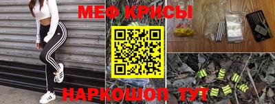 ешки Кингисепп