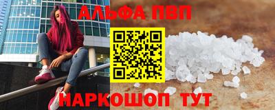 ешки Кингисепп
