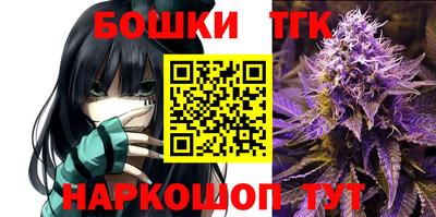 ешки Кингисепп