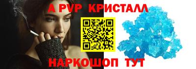 ешки Кингисепп
