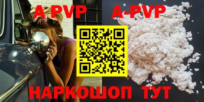ешки Кингисепп