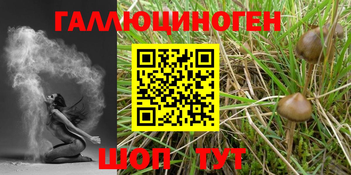 Псилоцибиновые грибы мухоморы Краснодар