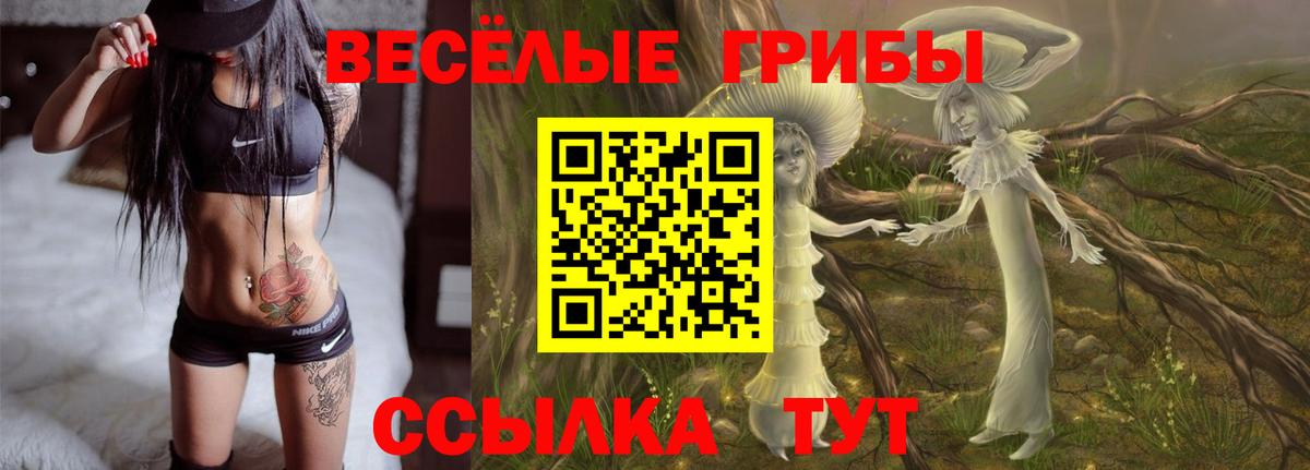 Галлюциногенные грибы мухоморы  закладки  Краснодар  Вход с VPN 